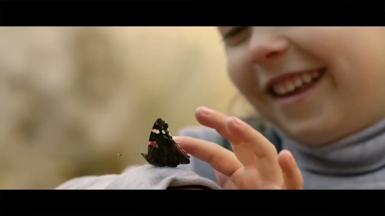 Tráiler La memòria de les papallones